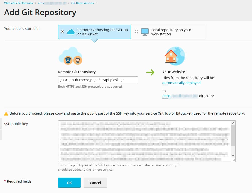 deploy/run/host strapi on plesk obsidian as node application